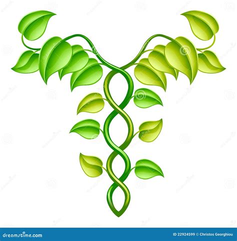 Alternative Medicine Logos. Vector Illustration | CartoonDealer.com