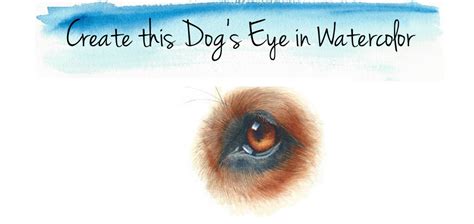 Free Course: How to Paint a Dog's Eye in Watercolor | Watercolors with