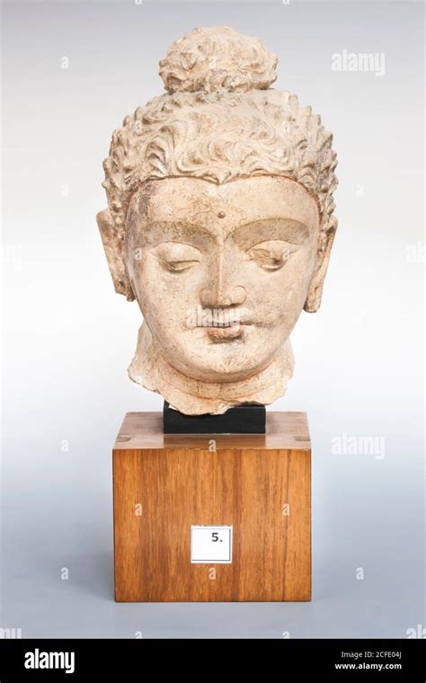 Stucco Head Of The Buddha From Mohra Muradu In Taxila Gallery Of