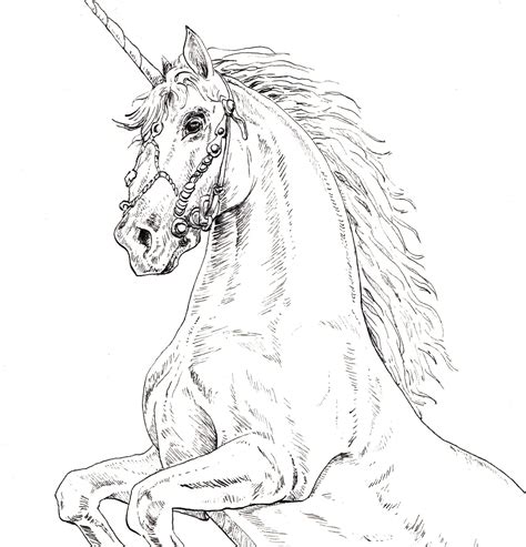 Unicorn Drawing In Pen And Ink Scotlands National Etsy Australia