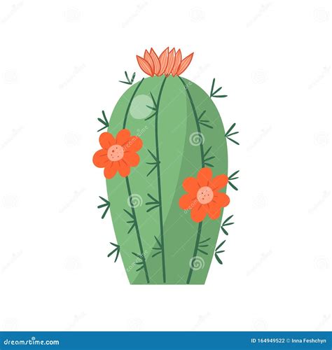 Cartoon Cactus Vector Bright Cacti Colored Bright Cacti Flowers Isolated On White Background