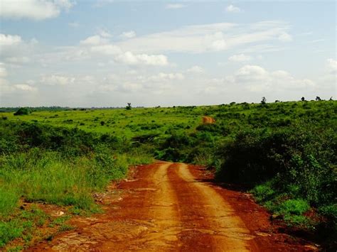 Premium Photo Dirt Road Amidst Field Against Sky