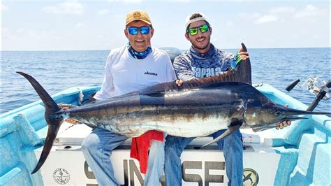 Pesca De Marlin Azul Youtube