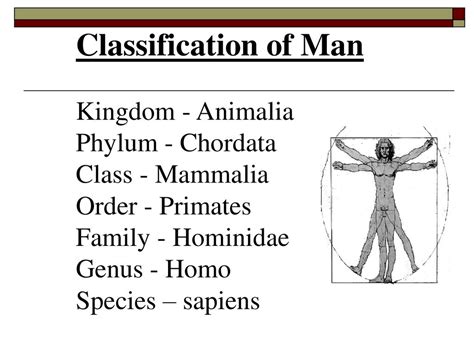 Chapter 18 Classification Ppt Download