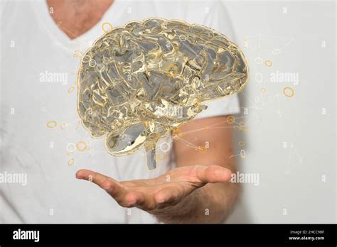 Closeup of the hand holding the virtual 3d model of the human brain ...