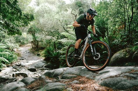 Descubre Tu Cronotipo Para Entrenar Y Rendir Mejor