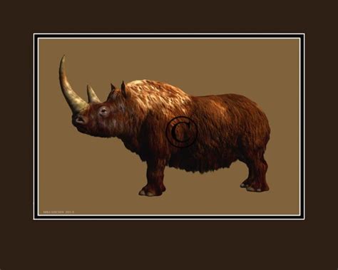 Woolly Rhinoceros Ice Age Extinct Rhino Digital Download Print Etsy