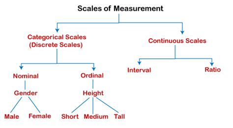 Scale of Measurement in SPSS - javatpoint