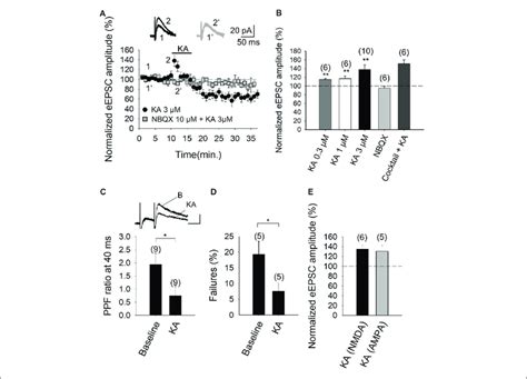 Kainate KA Increases The Evoked Excitatory Postsynaptic Currents