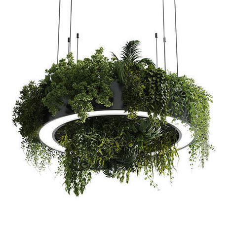 3D model circle pot light pendant - plant light hanging 13 VR / AR ...