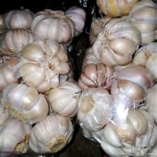 Jual Bawang Putih Sinco Shopee Indonesia