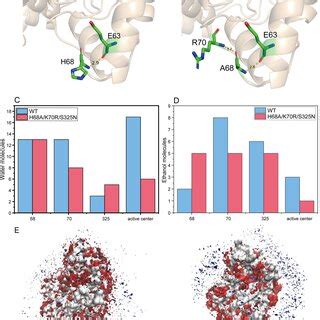 Structural And Simulation Analysis Of The Triple Mutant Protein In The