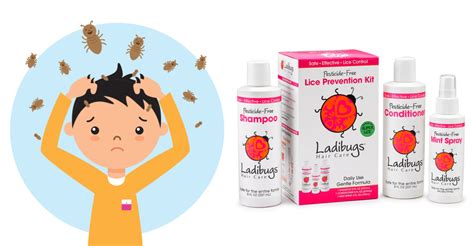 Lice Prevention Tips Ladibugs Lice Treatment Professionals