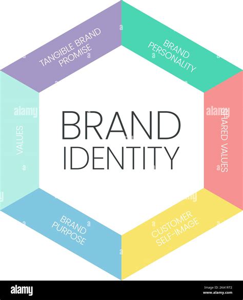 Brand Identity Infographic Vector Is Digital Marketing Concept In 6 Elements To Distinguish The