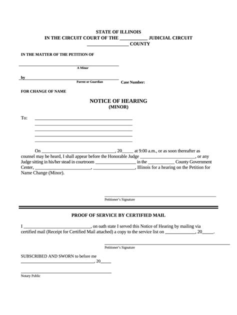 Name Change In Illinois Fill Out Sign Online DocHub