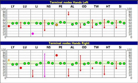 Holimed Eav Devices Holimed Instruments For Bioresonance And Eav