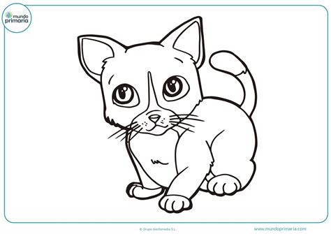 Dibujos De Gatos Para Imprimir Y Colorear Mundo Primaria