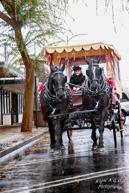 Christmas Carriage Rides In Old Town Clovis Kings River Life Magazine