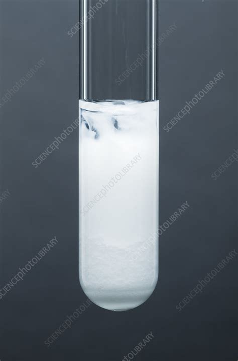 Lead bromide precipitate - Stock Image - C030/7209 - Science Photo Library