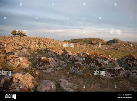 Kineret hiking israel hi-res stock photography and images - Alamy