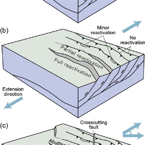 Model Of Fault Evolution Between Reactivated Basement Thrust And