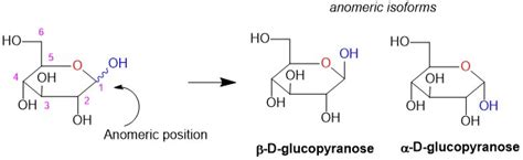 Carbohydrates In Organic Chemistry