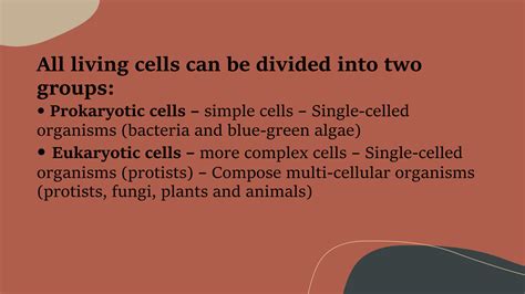 Solution Prokaryotic Cell Eukaryotic Cell Studypool