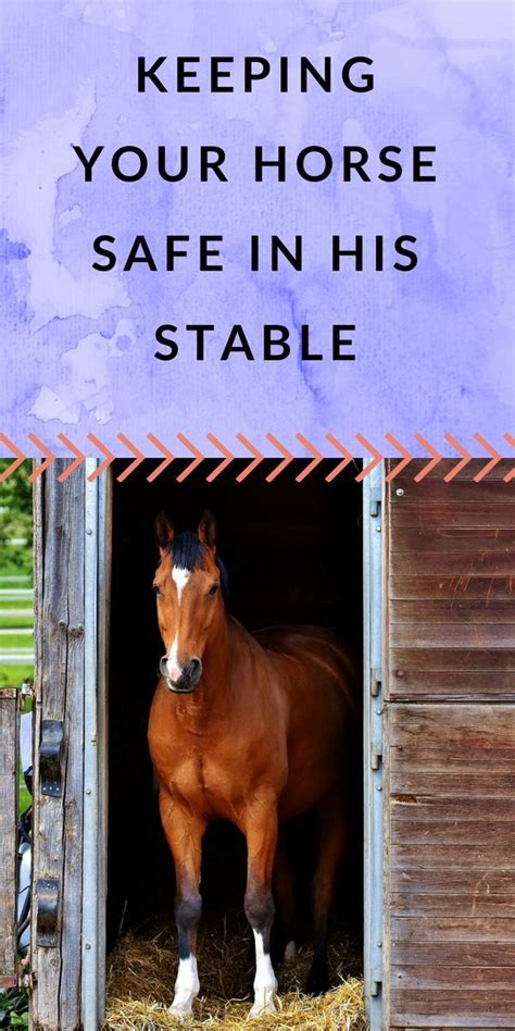 Keeping Your Horse Safe In His Stable Horses Stables Show Jumping