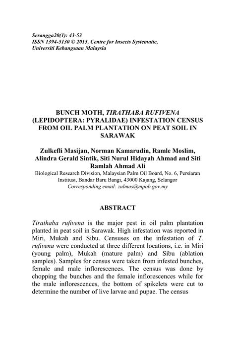 bunch moth tirathaba rufivena lepidoptera pyralidae infestation