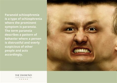 8 Types Of Schizophrenia And Their Differences The Diamond Rehab Thailand