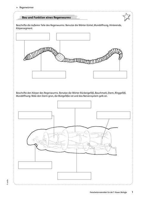 Klassenarbeit Klasse 6 Biologie Hot Sex Picture