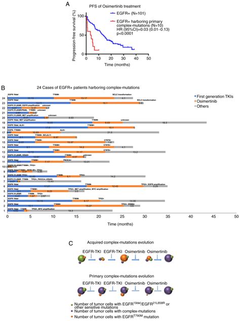 Patients With Advanced Non‑small Cell Lung Cancer With Egfr Mutations