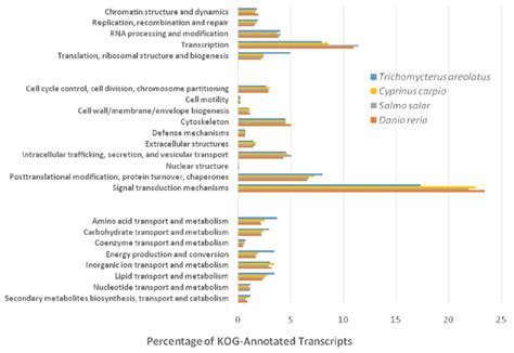 Eukaryotic Orthologous Groups KOG Characterization Of Trichomycterus