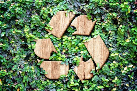 Sustainability In Retail