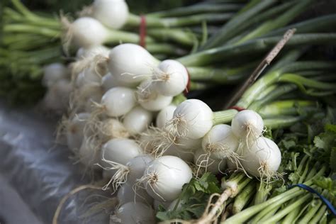 Le cipolle italiane varietà principali e i migliori usi in cucina