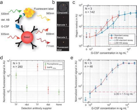 Optimization Of The G‐csf Assay On Fluorescently Barcoded Magnetic Download Scientific Diagram