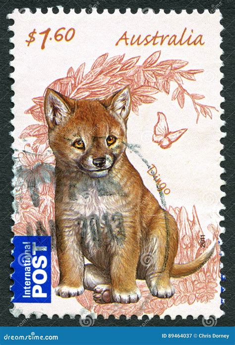 Dingo Australian Postage Stamp Editorial Photography Image Of