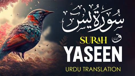 Surah Yasin Yaseen With Urdu Tanslation Quran Tilawat Beautiful Voice