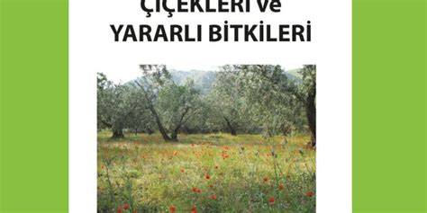 MARMARA ADASININ ÇİÇEKLERİ ve YARARLI BİTKİLERİ Bozcaada Dergisi