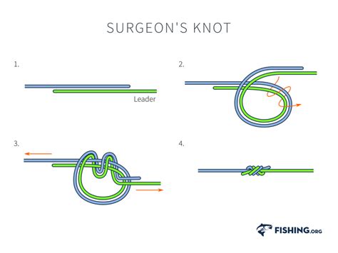 Surgeons Knot | Fishing.org