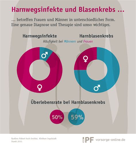 Harnwegsinfektionen Und Blasenkrebs