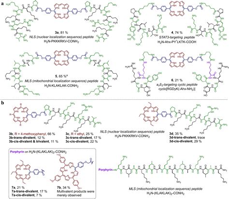 Versatile Synthesis Of Multivalent PorphyrinPeptide Conjugates By