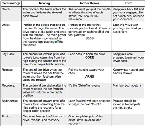 Total Gym Full Body Workout Chart | EOUA Blog