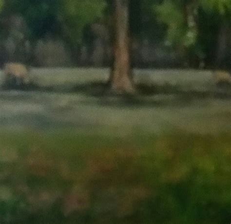 Beautiful Tonalism Landscape 10x8 oil on canvas green | Etsy