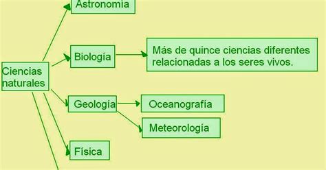 Profesor Otto Oseguera Acosta Educación Al Día Las Ramas Que Se