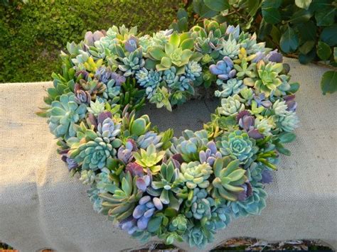 Succulent Wreath Heart Shaped Succulent Wreath By Tobieanne Succulent