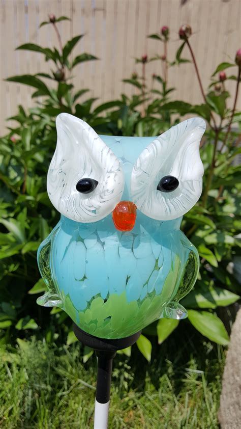 Free Images Bird Sun Flower Glass Green Owl Stuffed Toy