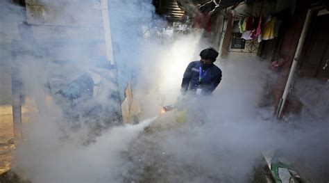 55 Cases Of Dengue In Delhi This Year Advisory Issued On Prevention Of Vector Borne Diseases