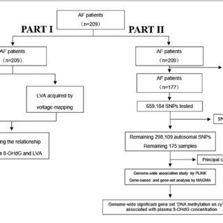 Flowchart Of The Overall Study Af Atrial Fibrillation Ohdg