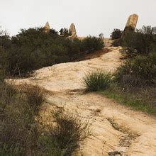 Cydney Johnson Nude Leaks Fapopedia